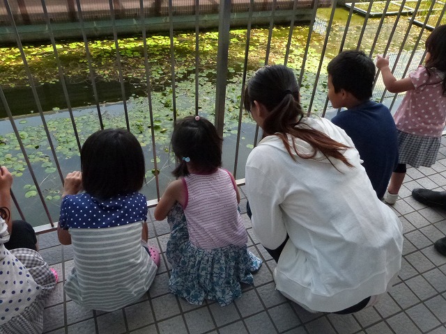 池をのぞく.jpg
