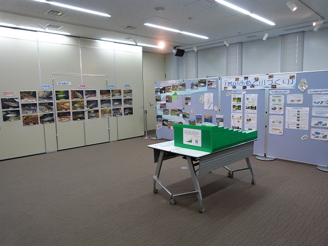 服部図書館展示全体.jpg