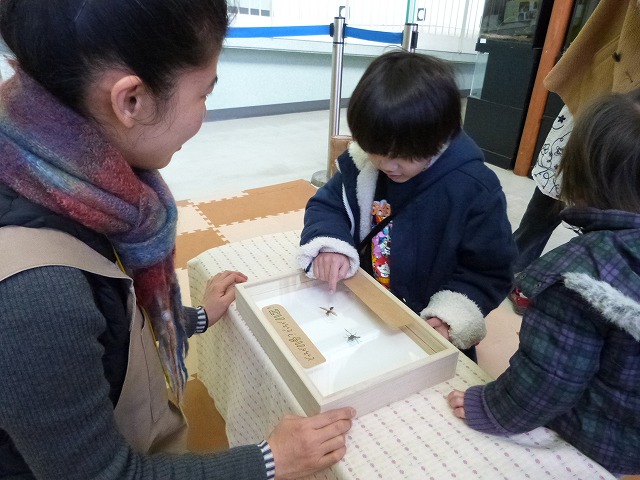 導入のはなし