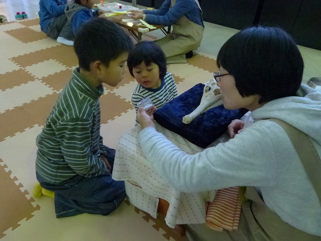 ワニの歯をみる