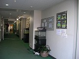 SANY0062.jpg
