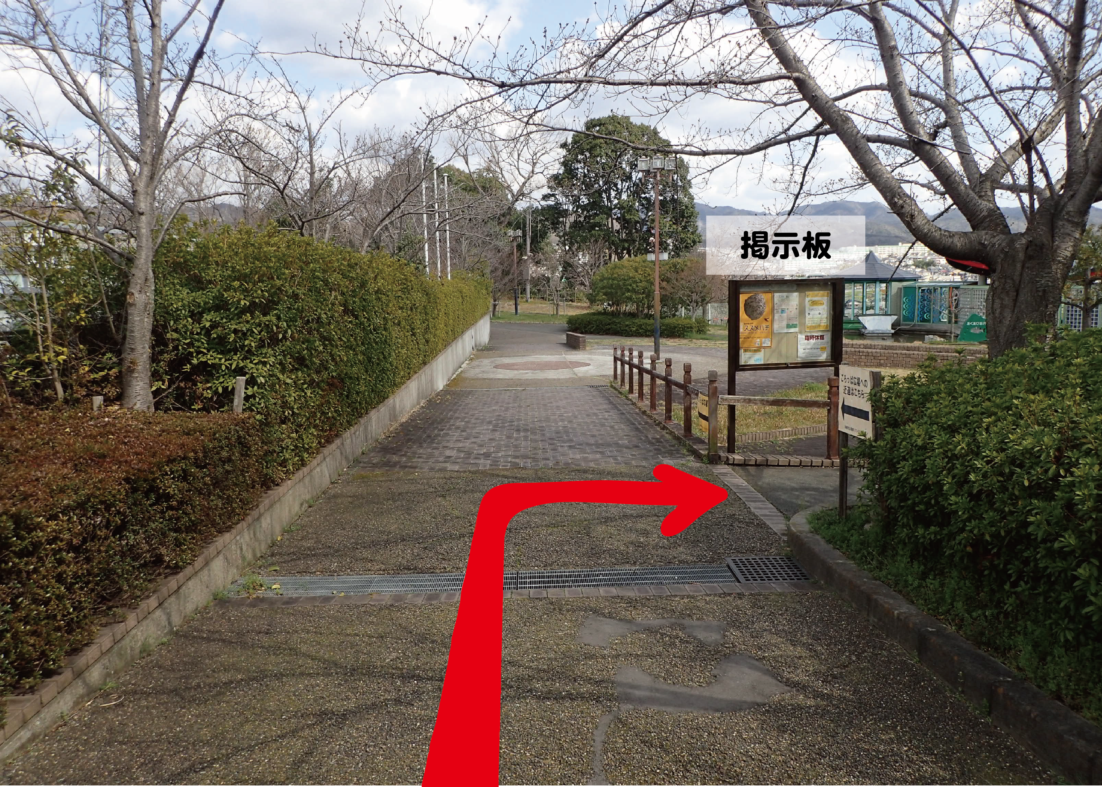道案内写真⑥更新.png