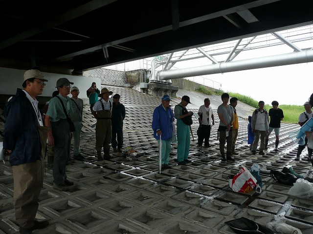 アユ観察会2