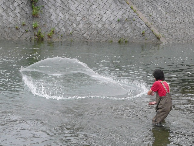 アユ観察会4