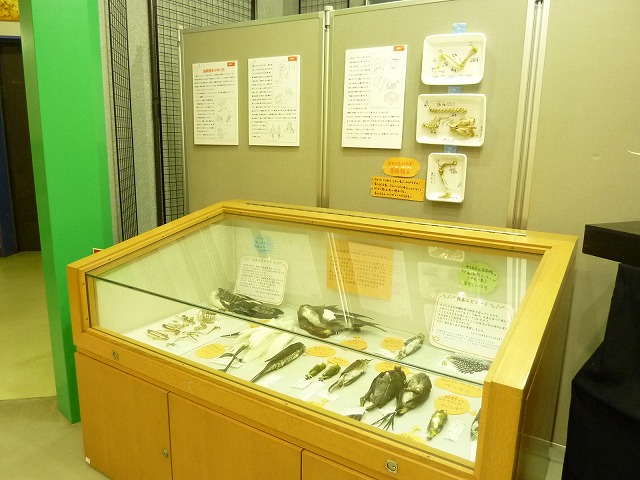 展示風景