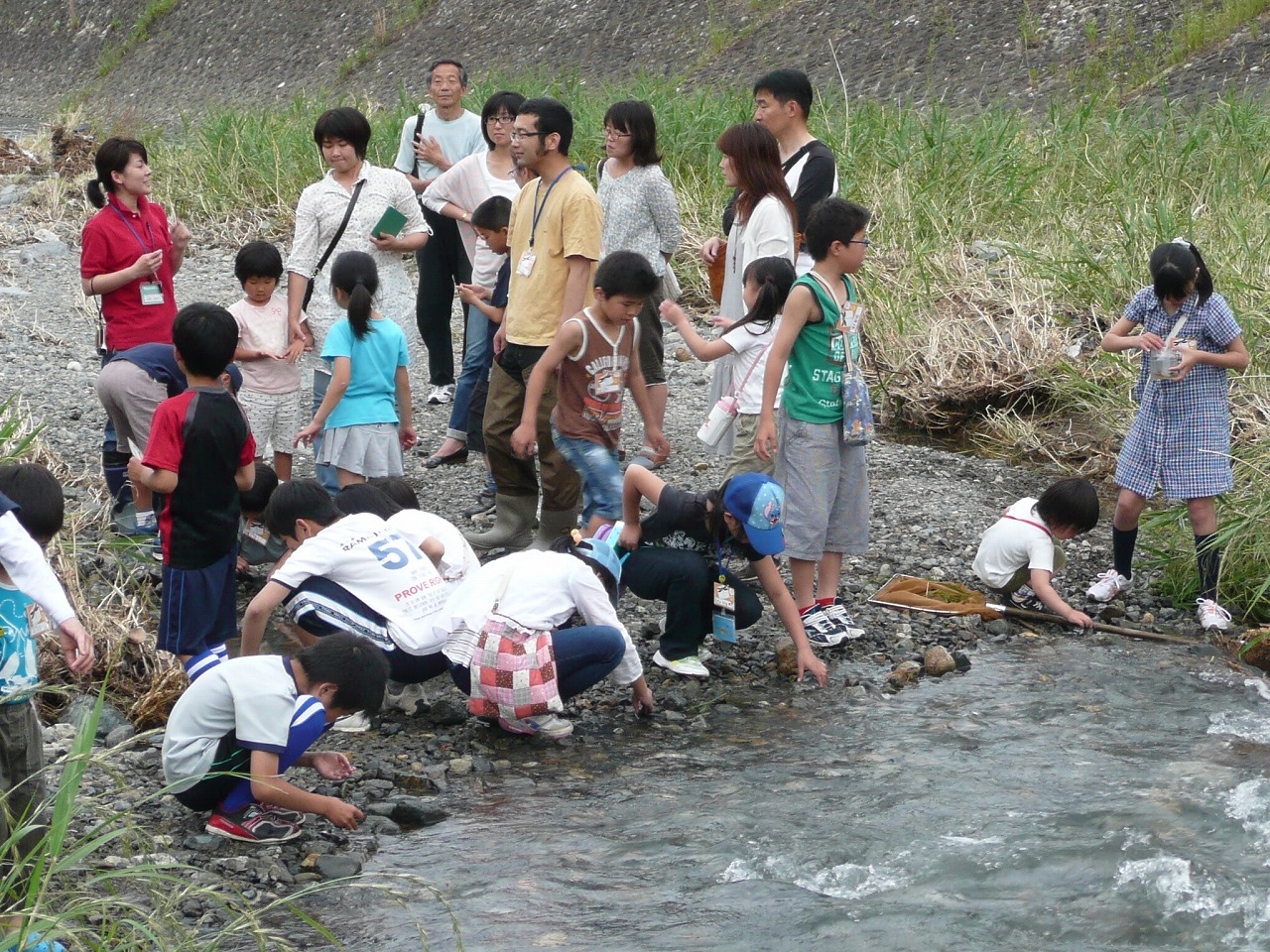 2011_0605ハグロトンボしらべ隊 021.jpg