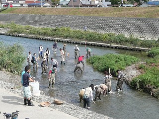 城西橋上流での産卵場整備