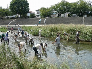 桜堤公園の産卵場整備