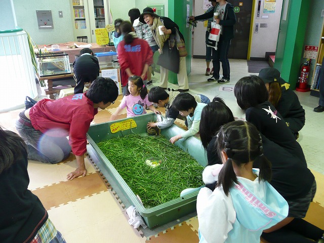 動物園