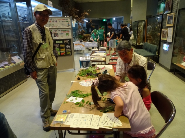 大阪植物観察会「葉っぱや花の不思議観察」