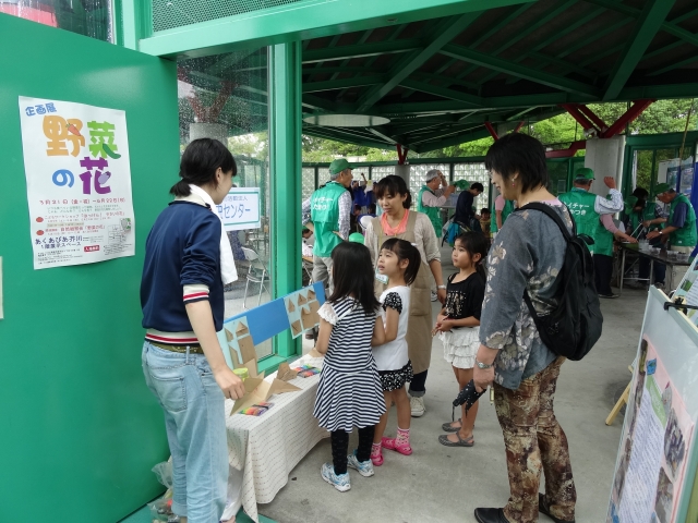 大阪自然史センター 「ヨクリュウ紙ひこうき」