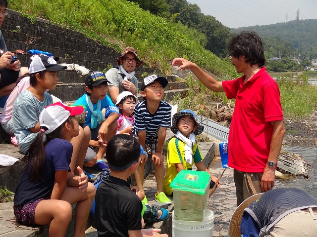 魚の解説