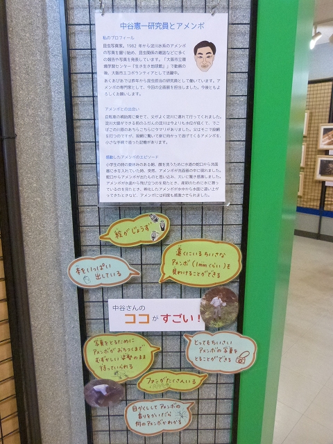中谷研究員
