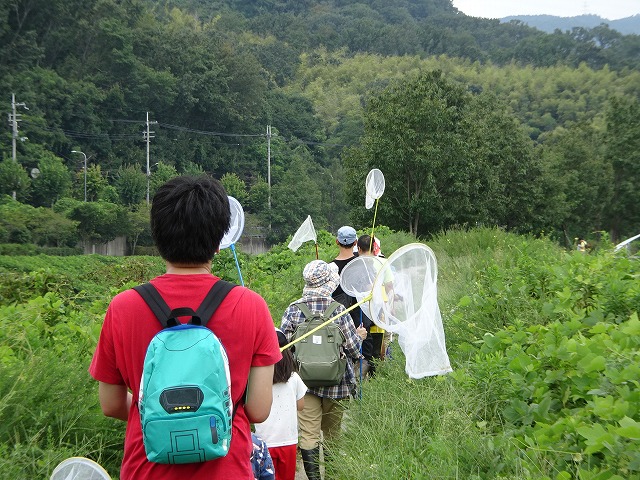 虫網を持って草むらを移動中