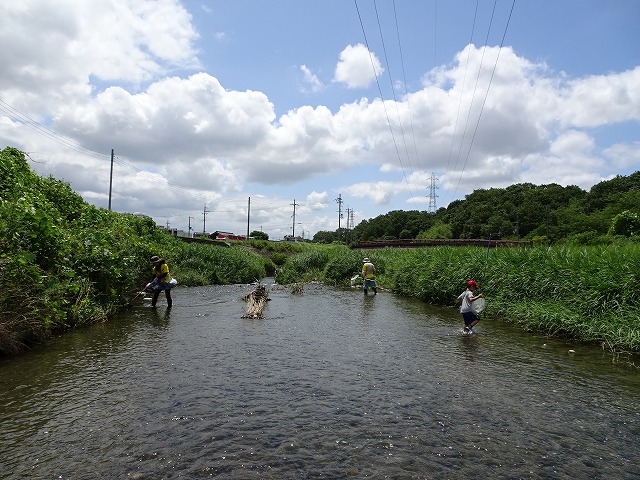 川に入って調査している様子