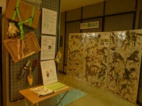 コドラート調査