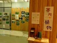 芥川の植物
