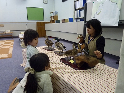 P1030417.jpg