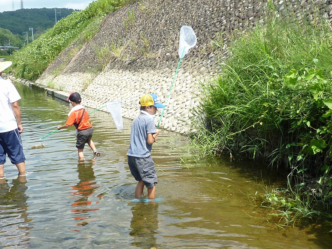 第5回ハグロトンボしらべ隊調査会