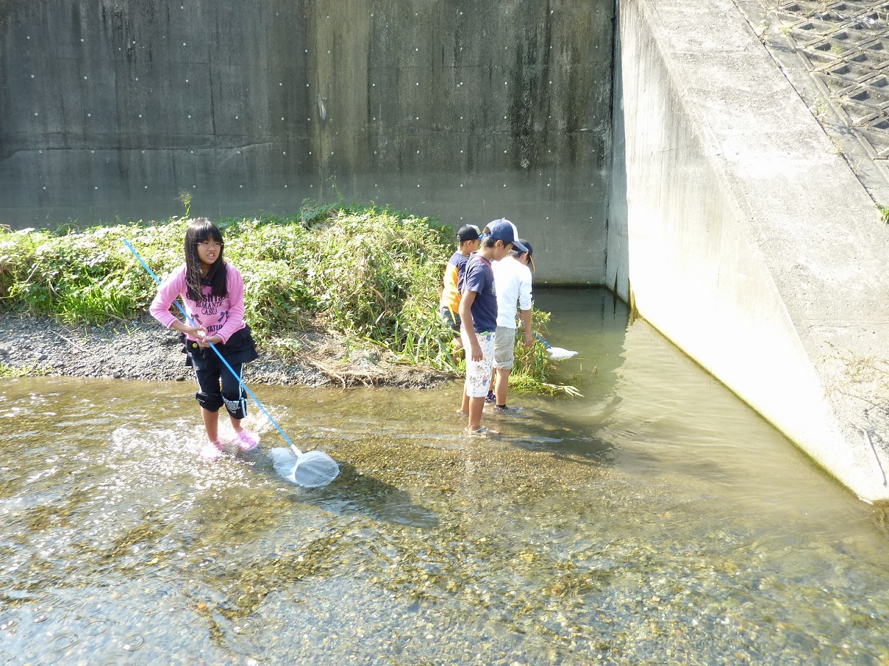 ハグロトンボしらべ隊最終回