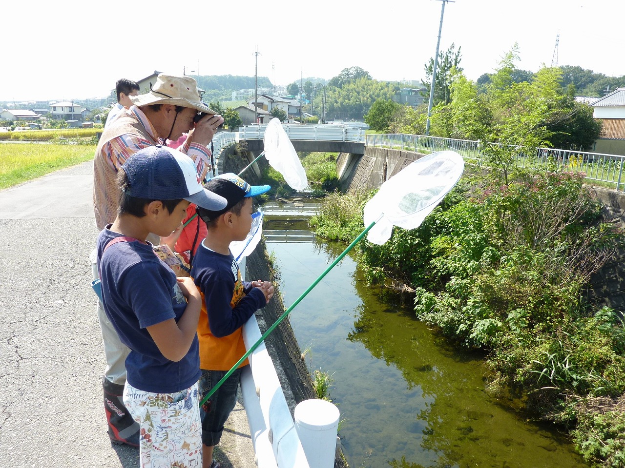 ハグロトンボしらべ隊最終回
