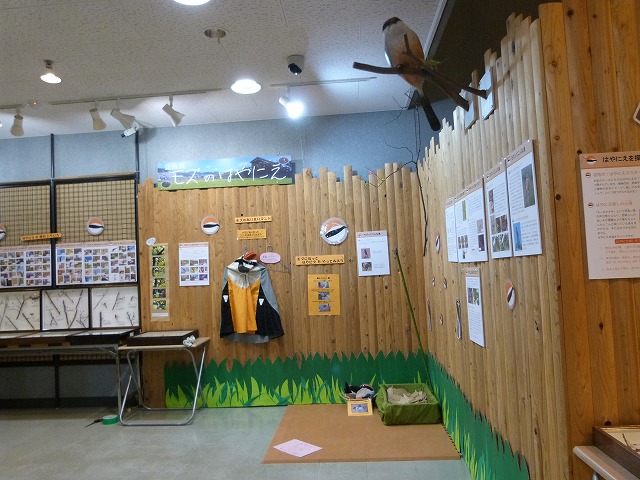 全景