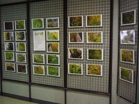 ミニ写真展
