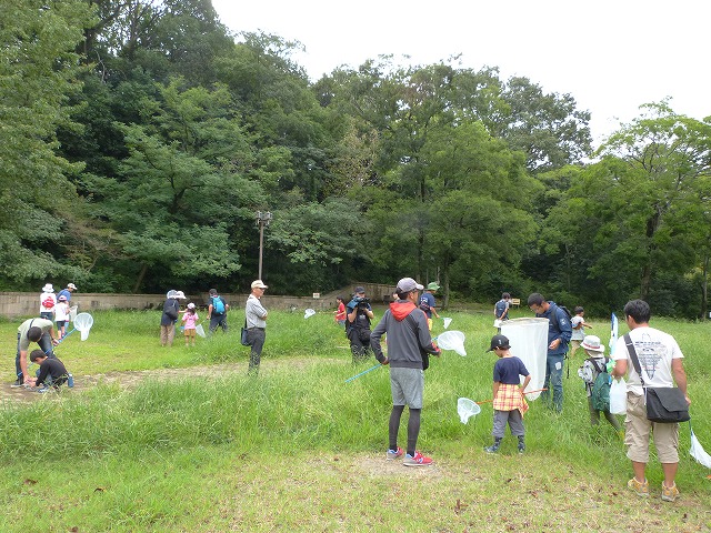 虫とりをする参加者たち