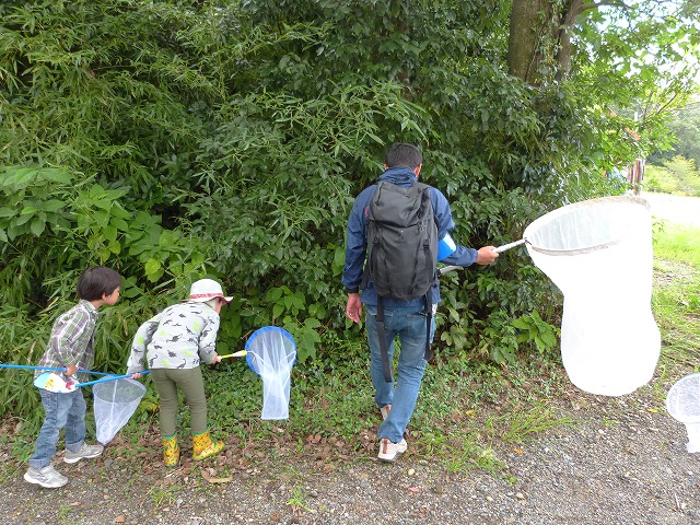 虫を探す講師とこどもたちの後ろ姿