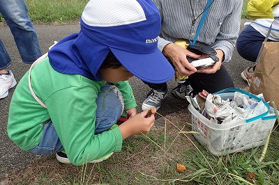 しゃがんでキノコを観察する男の子