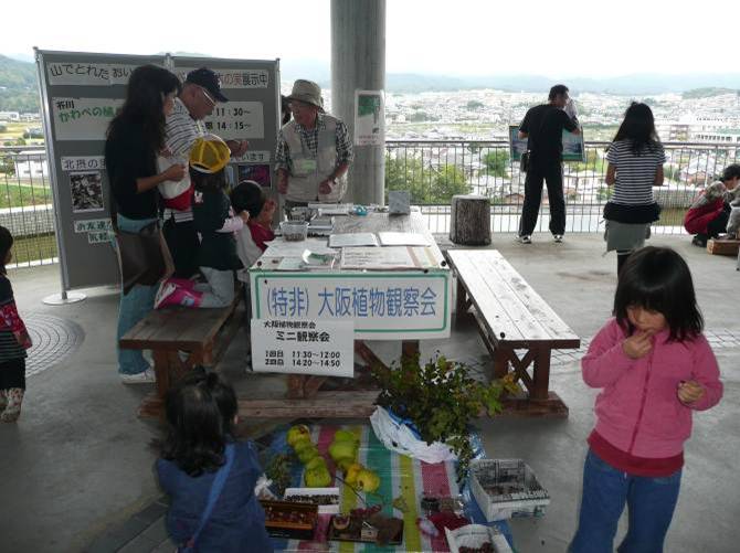 大阪植物観察会