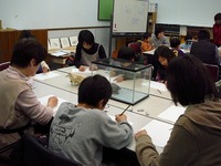 作成中