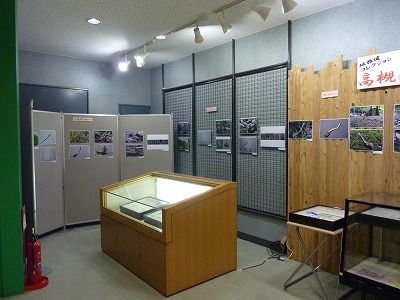 展示風景