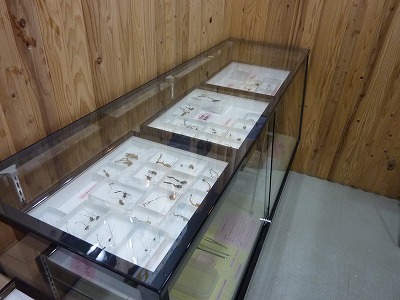 展示風景