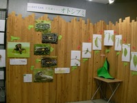 展示