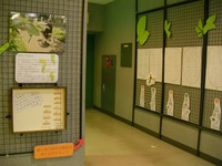 展示