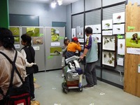 来館者