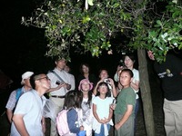 s-セミの羽化2010.07.18 061.jpg