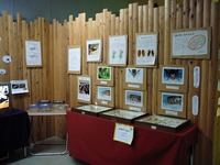 パネル展示