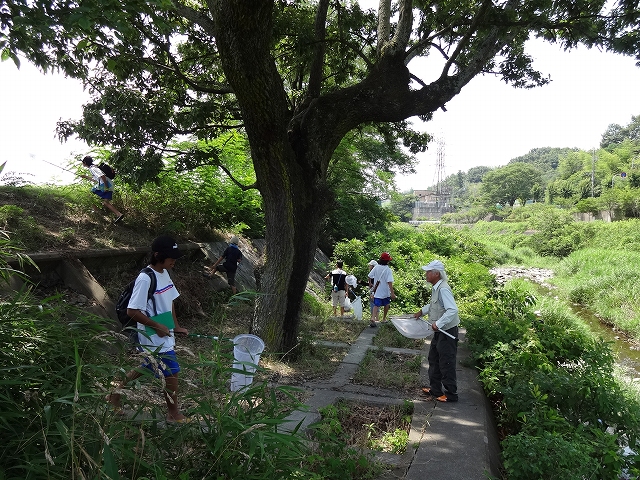 第4回ハグロトンボ調査会