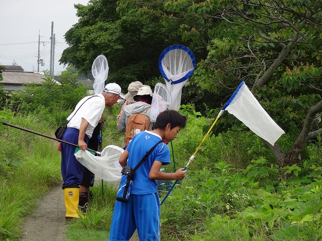 ハグロトンボしらべ隊第3回調査隊