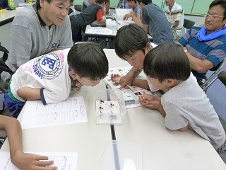 昆虫標本作成教室