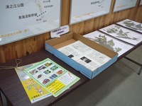 標本