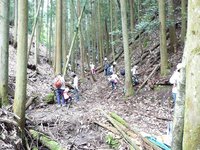 探索