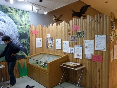 展示風景