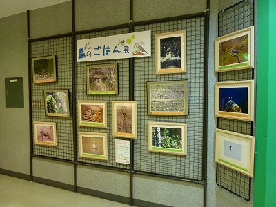 展示風景