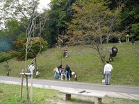 採集