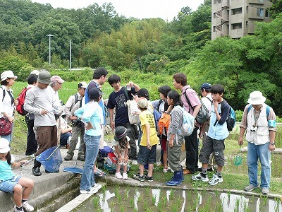和田学芸員解説
