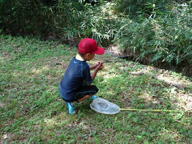 ハグロトンボを手にする少年