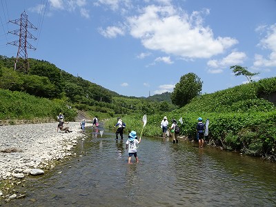 川で採集